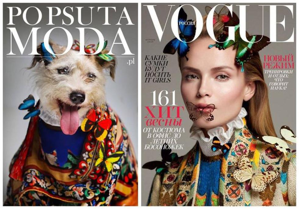 Cómo serían las portadas de las grandes revistas de moda con perros de  protagonistas? [Fotos] | ESPECTACULOS | PERU21