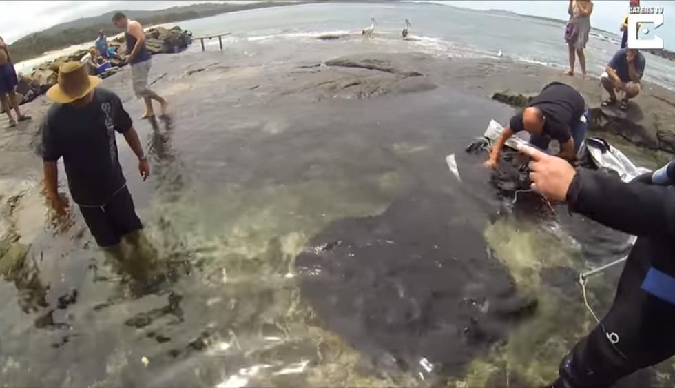 Bañistas logran salvar a mantarraya gigante varada en una playa. (YouTube)