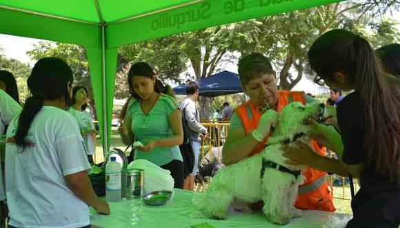 La Municipalidad de Surquillo reapertura este sábado 6 de julio la veterinaria municipal con una mega campaña gratuita para todas las mascotas. (Foto: Fundación Rayito)