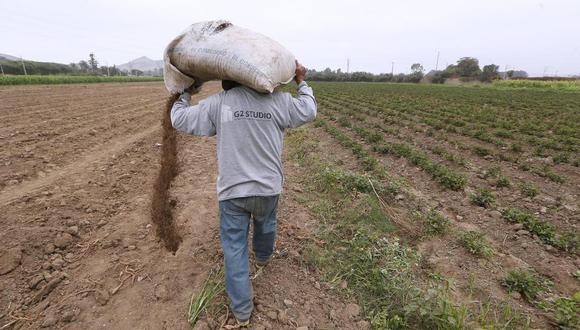 Agro Rural señaló que informe de Contraloría no ha afectado el proceso de adquisición.