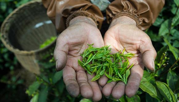 Perú puede crecer sosteniblemente con Economía Verde. (Getty)