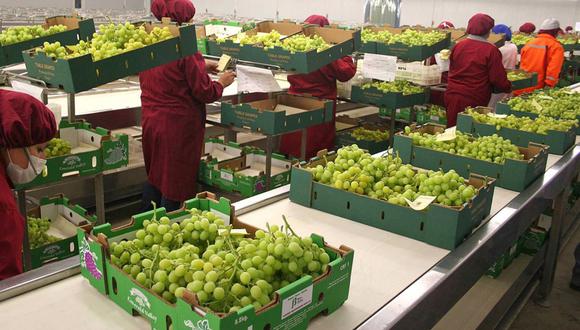 Uno de los principales productos del ranking agroexportador en ese periodo fueron las uvas frescas US$ 595 millones (15.5% de participación). (Foto: GEC)