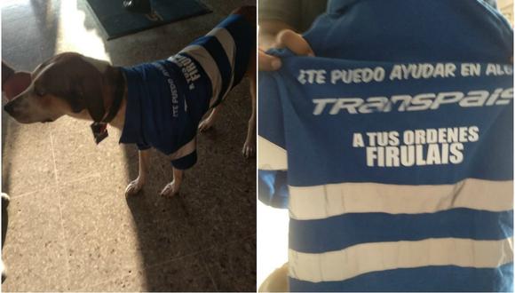 Se viralizó en Facebook la historia de Firulais, un perro adoptado por los trabajadores de una empresa de transportes. (Foto: Facebook/Transpais)