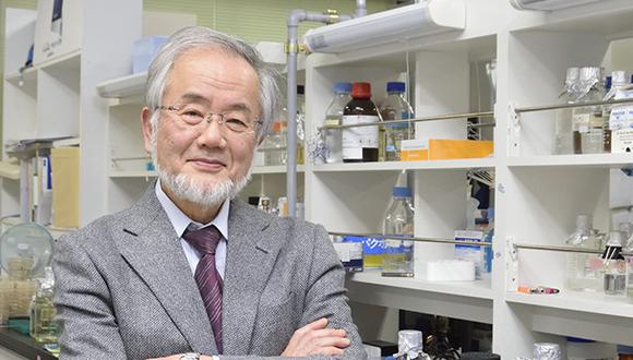Premio Nobel de Medicina para Yoshinori Ohsumi por sus hallazgos sobre el reciclaje celular (titech.ac.jp)