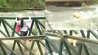Perro fue arrastrado por la corriente de un río tras cruzar puente peatonal en mal estado