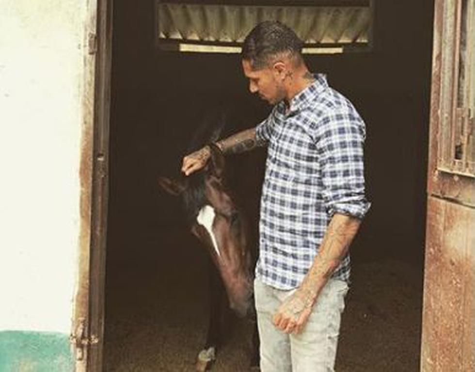 Paolo Guerrero es un apasionado del turf y lo manifiesta cada vez que puede a través de las redes sociales. (Instagram @guerrero9)