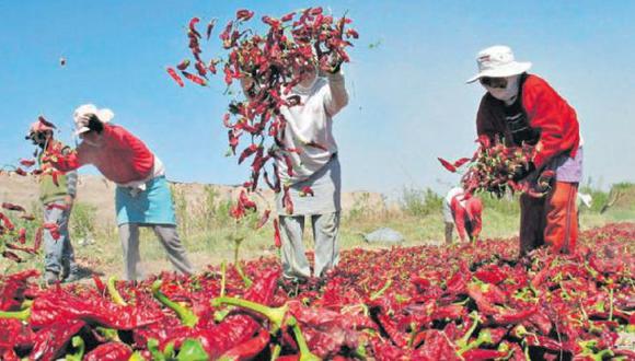 “El cambio en la gestión pública agraria está en marcha&quot;, dijo Juan Escobar, funcionario de Minagri. (Perú21)