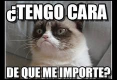 Grumpy Cat: ‘memes’ para recordar a la gata más querida de Internet