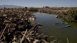 Lago Titicaca: Contaminación amenaza a una de las grandes reservas del planeta