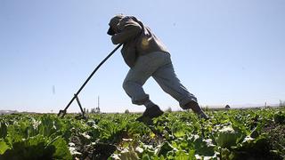 Gana Perú propone salvaguarda al agro