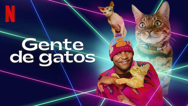 Milímetro vulgar Pino gatos-películas-Netflix | Películas y series de Netflix para recomendar a  todos los amantes de los gatos | VIDA | PERU21