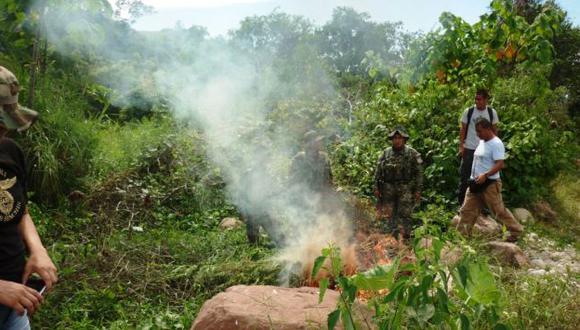Hallan 250 plantones de marihuana en el distrito de Pangoa. (Difusión)