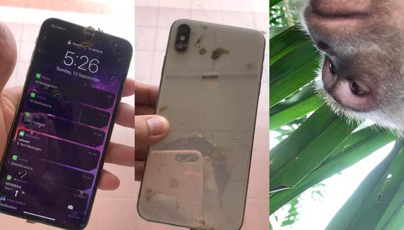 Un joven en Malasia descubrió que un mono robó su teléfono mientras dormía y se había tomado varias fotos y videos con él durante el tiempo que lo tuvo en su poder. | Crédito: @Zackrydz / Twitter.
