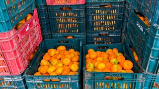 Coronavirus en Perú: entregan 19 toneladas de fruta a familias vulnerables de 11 distritos de Lima