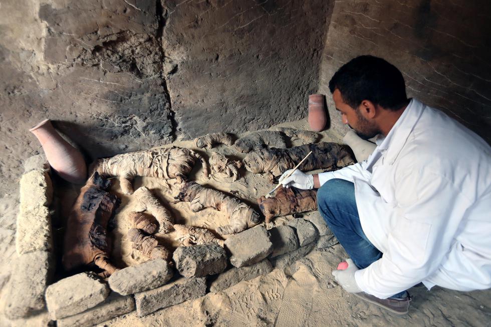Una misión arqueológica egipcia dejó al descubierto gatos y escarabajos momificados hallados en tumbas de faraones. (Foto: EFE)