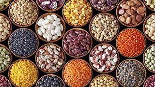MINAGRI: Perú se podría convertir en una potencia mundial en la producción y exportación de legumbres