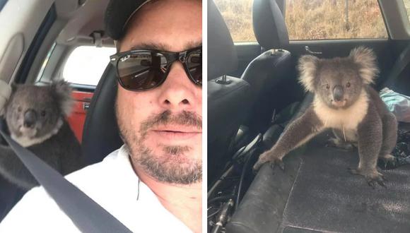 Un koala se 'infiltró' en el auto de un australiano para escapar del inclemente calor. (Foto: Tim Withrow en Facebook)