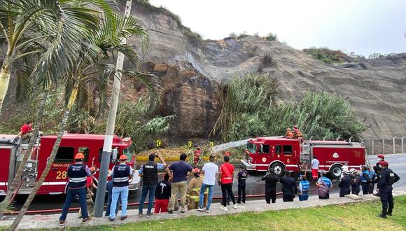 Incendio forestal se reportó a las 9:27 a.m. en malecón situado en Chorrillos. (Foto: Municipalidad de Lima)