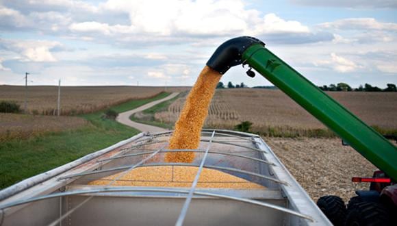 El precio del maíz ganaba un 4%, mientras que la soja subía un 2.6%. (Foto: AFP)