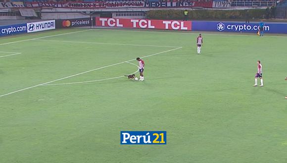 Perrito invadió cancha en partido de Copa Libertadores. (Foto: Twitter)