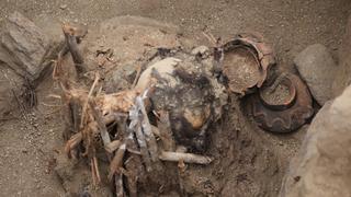 San Juan de Lurigancho: hallan tumba de mujer que vivió hace más de 600 años en El Sauce