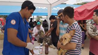 ¡Gran corazón! Médicos veterinarios atendieron a más de 500 mascotas tras aniego en SJL