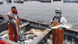 Produce crea grupo de trabajo para atender al sector pesquero tras derrame