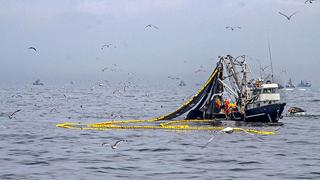 Gremio pesquero se enfoca en recuperación y reutilización de residuos y energías propias de la industria