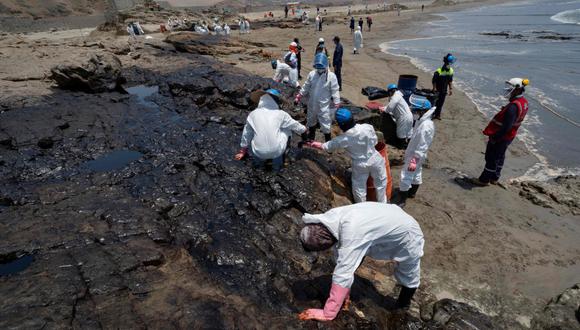 El derrame de petróleo en las playas de Ventanilla ha terminado afectando a toda la fauna del lugar y, por consiguiente, a la cadena alimenticia. (Foto: AFP)