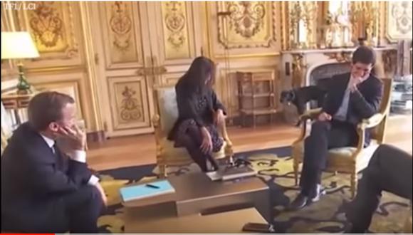 En el 2013, el chihuahua y los dos labradores del expresidente francés Nicolás Sarkozy destruyeron varios muebles históricos del Salón de Plata del Elíseo. (Captura de YouTube)