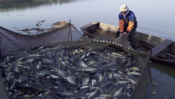 Producción de pesca se duplicó en abril de este año. (USI)