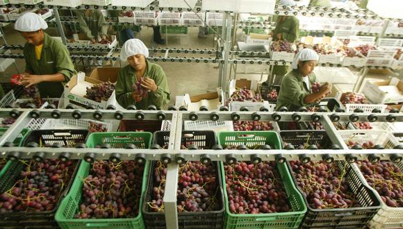La uva es uno de los productos con valor agregado que exportamos a China. (Foto: Adex)