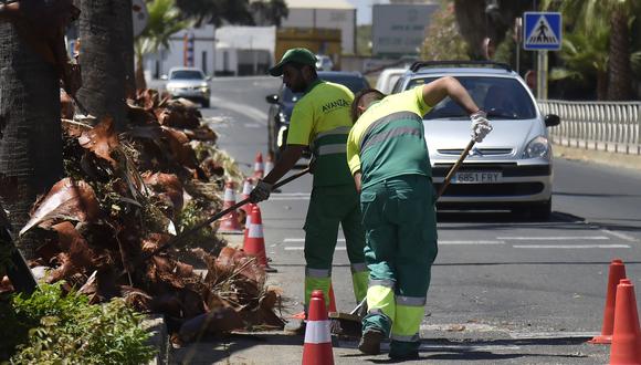 Jardineros podan palmeras al costado de una carretera en Sevilla el 19 de julio de 2022. (Foto por CRISTINA QUICLER / AFP)