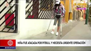 Surco: joven atacada por pitbull necesita operación para poder caminar con normalidad