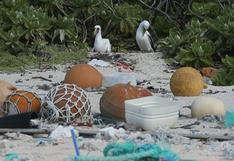 La isla Henderson: De paraíso en la Tierra a depósito natural del plástico del mundo [VIDEO]