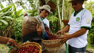 El reconocimiento a un café que regenera vidas y el paisaje amazónico