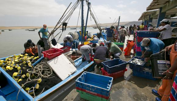 El sector pesquero acumula cuatro meses de crecimiento continuo. (Foto: GEC)