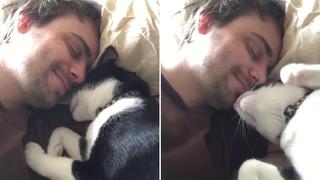 Un adorable gatito conquista el Internet al despertar a su dueño con besos y caricias