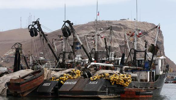 Chile: Armada recomendó no pescar más allá de las 80 millas. (EFE)