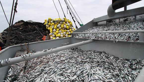 Asimismo, IMARPE informó que se encontró una biomasa total de 10.1 millones de TM de anchoveta en el mar. (Foto: GEC)