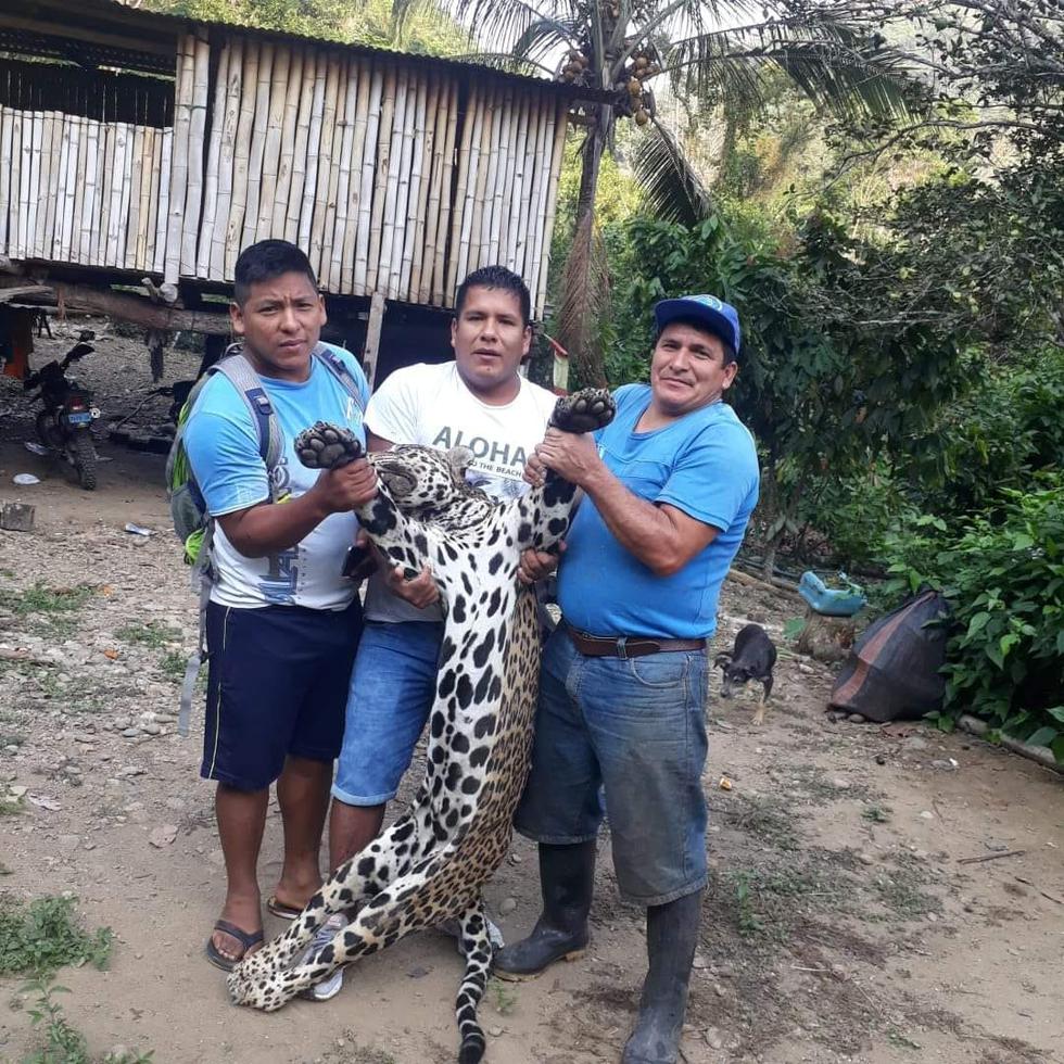 Se fotografiaron con jaguar, especie protegida por el Estado peruano. (Facebook)
