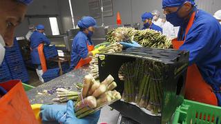 Adex: "Industria de alimentos generará 4.2 millones empleos en 2021"