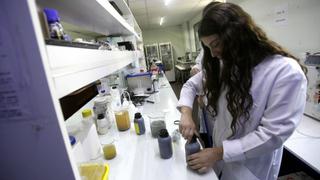 Zika: Chile confirma primer caso autóctono transmitido por vía sexual