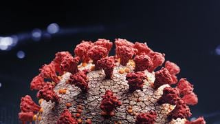 OMS nombra ‘Omicrón’ a nueva variante del coronavirus y señala que posiblemente es más contagiosa