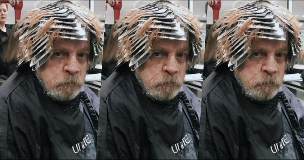 Mark Hamill, Luke Skywalker de 'Star Wars', se despide de la gatita. (Twitter @HamillHimself)