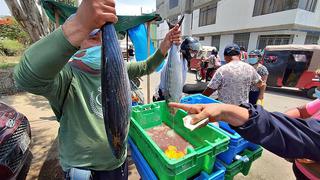 “Debe existir una alianza entre pescadores y restaurantes para evitar que precios se disparen”, según Armap
