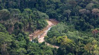 Amazonía: destinan más de S/ 20 millones a regiones para conservación de los bosques