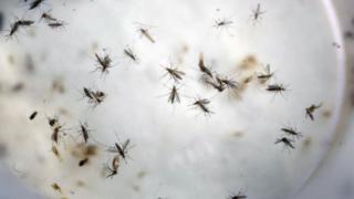 Zika: Colombia ya sobrepasa los 47 mil infectados por el virus
