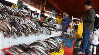 Venderán pescado barato por Semana Santa en varias partes del Perú
