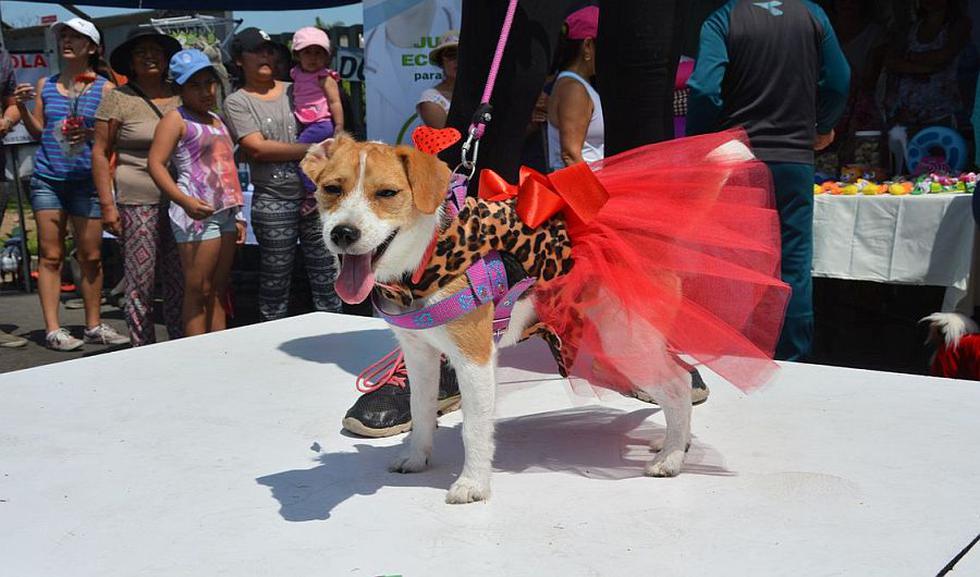 La Molina realizará este domingo un carnaval canino. (Difusión)